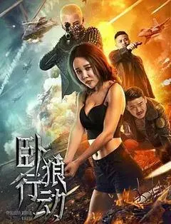 【剧情片】卧狼行动